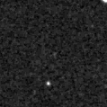 2019gdf_image