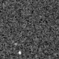 2019gei_image