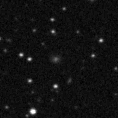 2019gld_image