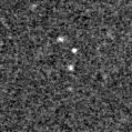 2019glt_image