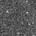 2019glv_image