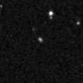 2019goe_image