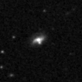 2019gof_image