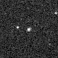 2019goh_image