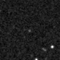 2019goi_image