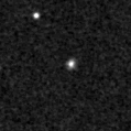 2019goj_image