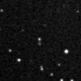 2019gok_image