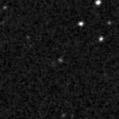 2019gpo_image