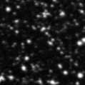 2019grs_image