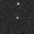 2019gum_image