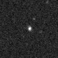 2019gus_image