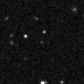 2019gyn_image