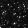 2019gzh_image