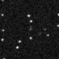 2019hcl_image