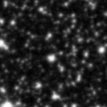 2019hds_image