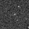2019hjy_image