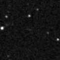2019hmo_image