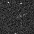 2019hom_image
