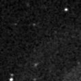 2019hoo_image