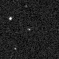 2019hwi_image