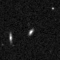 2019hxp_image