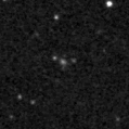 2019icj_image