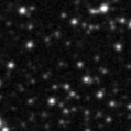 2019ids_image