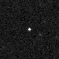 2019ifh_image
