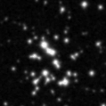 2019ifl_image