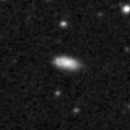 2019iip_image