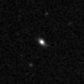 2019ilf_image