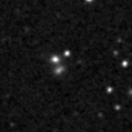 2019ilm_image