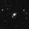 2019ilq_image