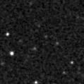 2019ivd_image