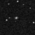 2019iyl_image