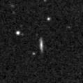 2019izj_image
