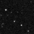 2019izl_image