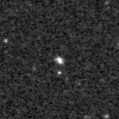 2019izq_image