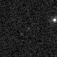 2019izw_image