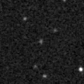 2019jak_image