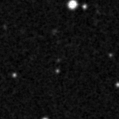 2019jeb_image
