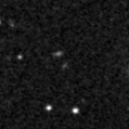 2019jfd_image