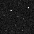 2019jft_image