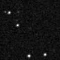 2019joa_image