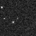 2019jpf_image