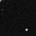 2019kni_image