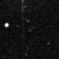 2019kny_image