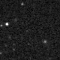 2019ksj_image