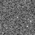 2019kwr_image