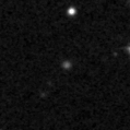 2019lam_image
